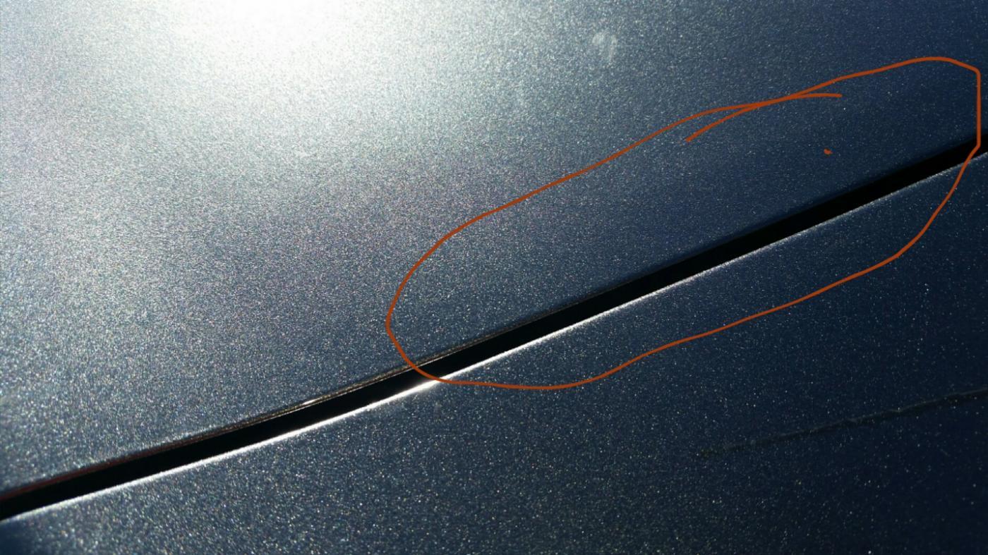 trunk.jpg