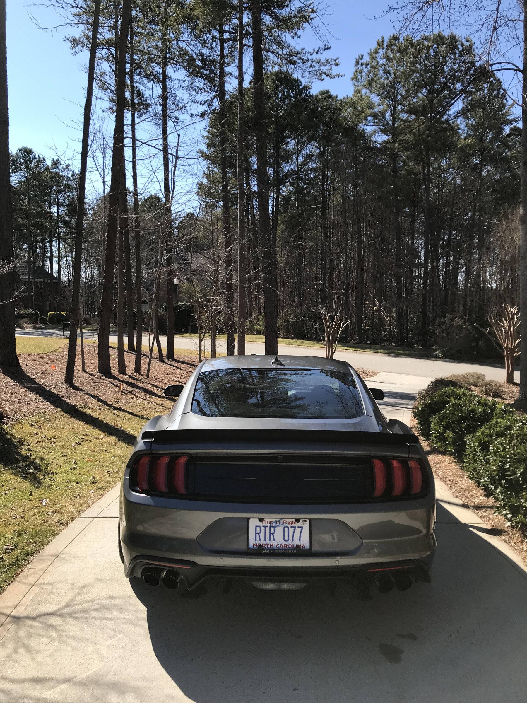 Rear.jpg