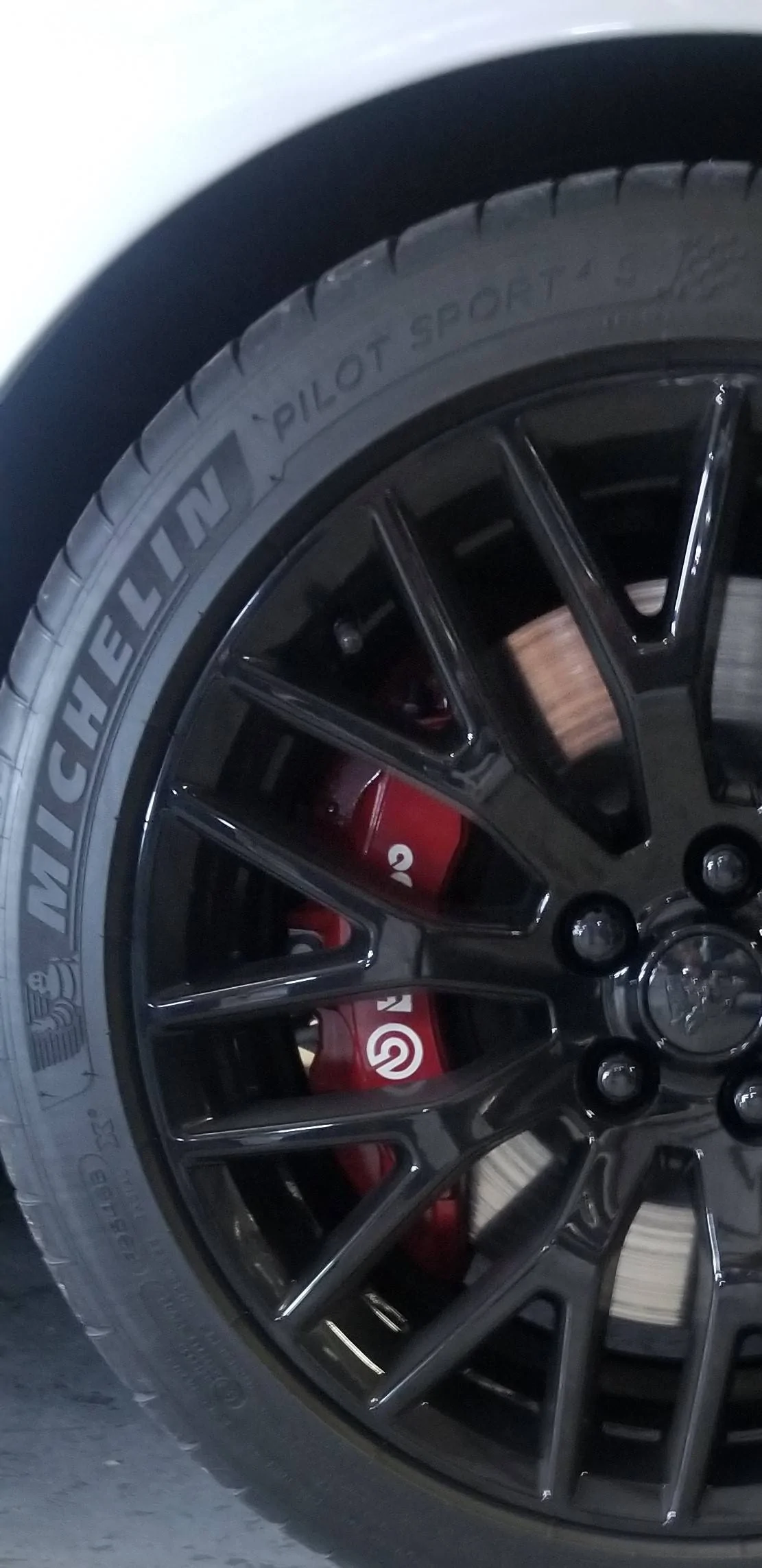 wheel.webp