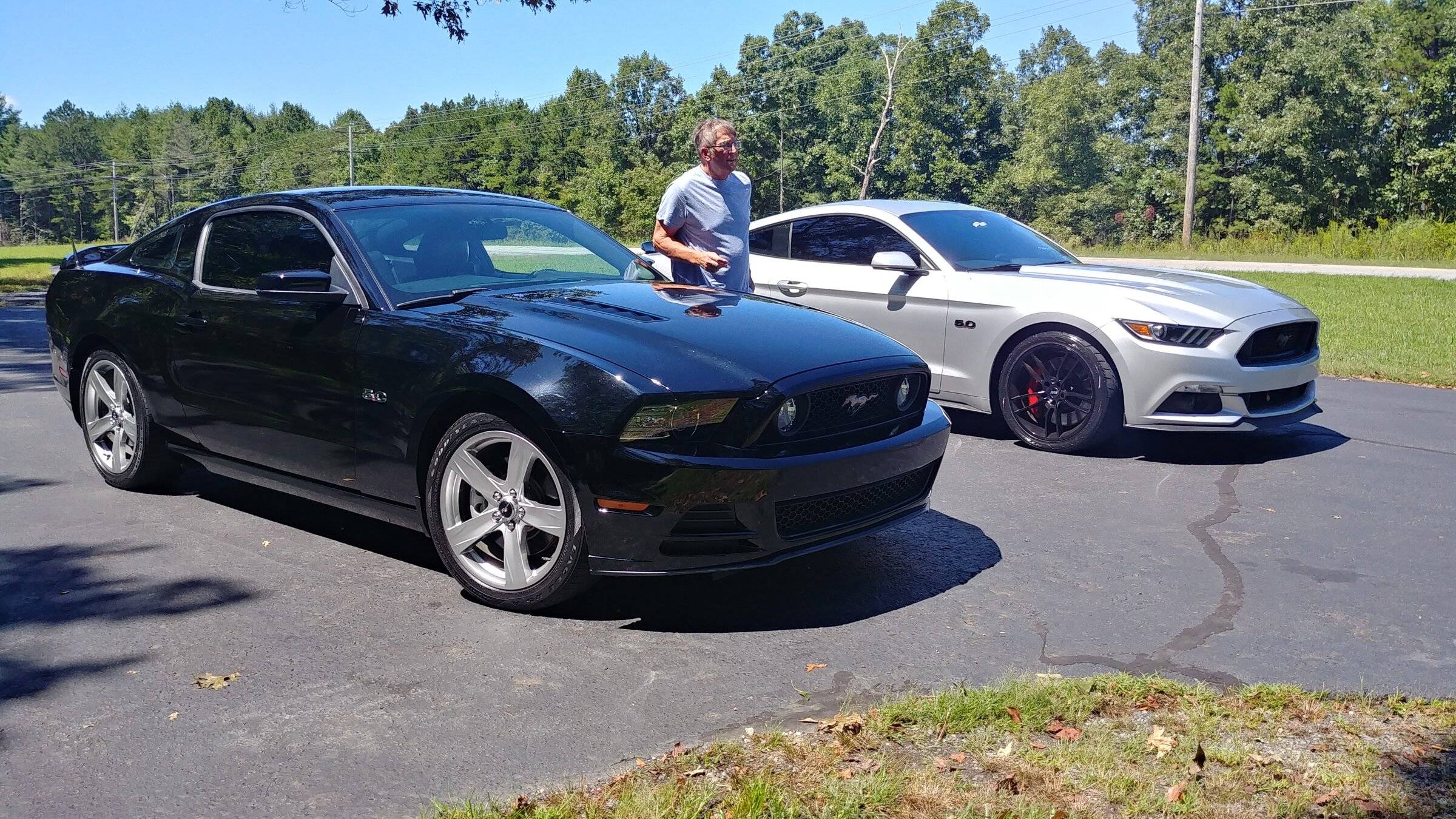 Mustang x2.jpg