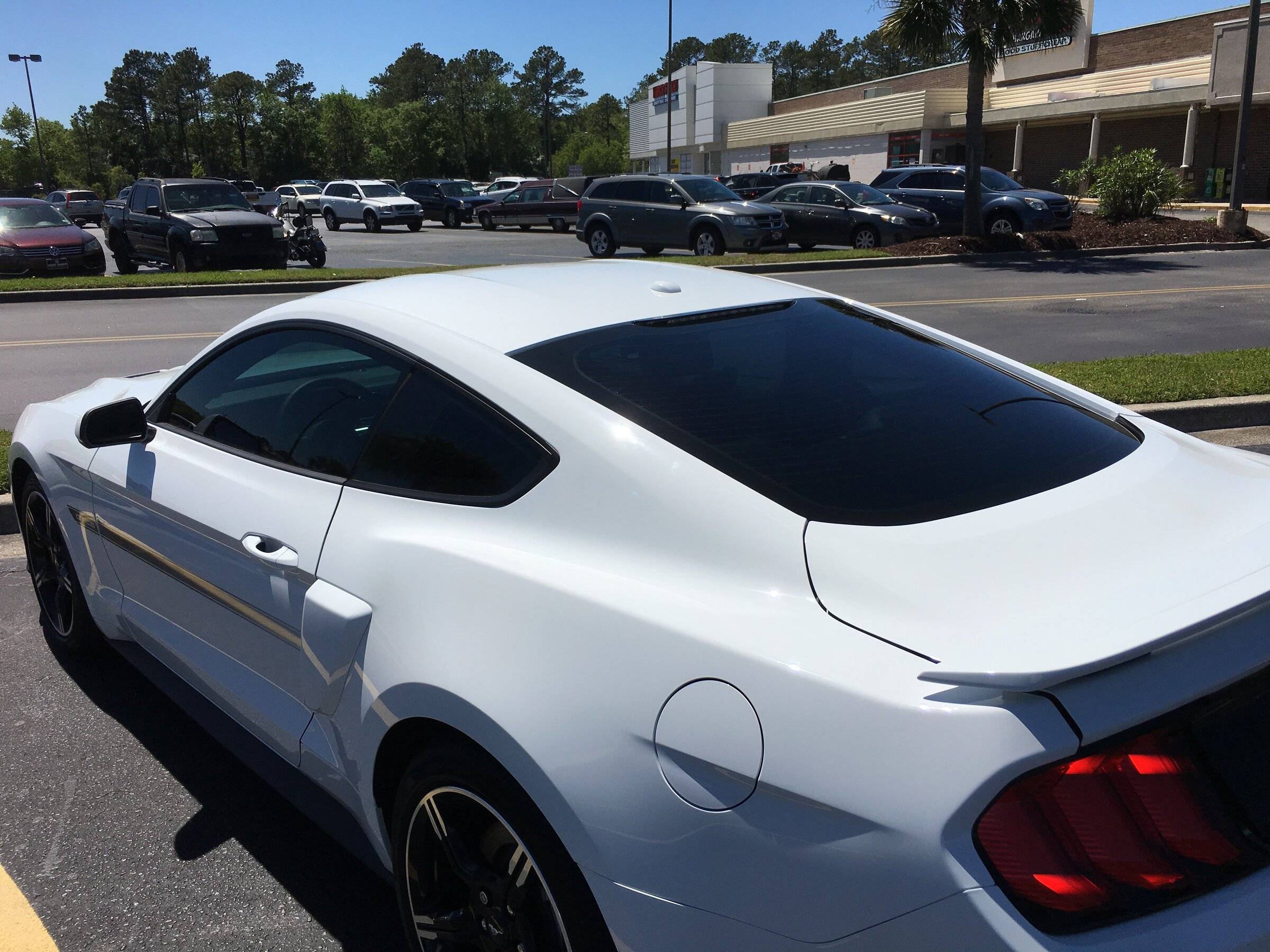 Tint 3.jpg