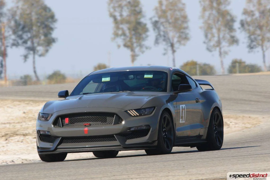 Mustang Background.webp