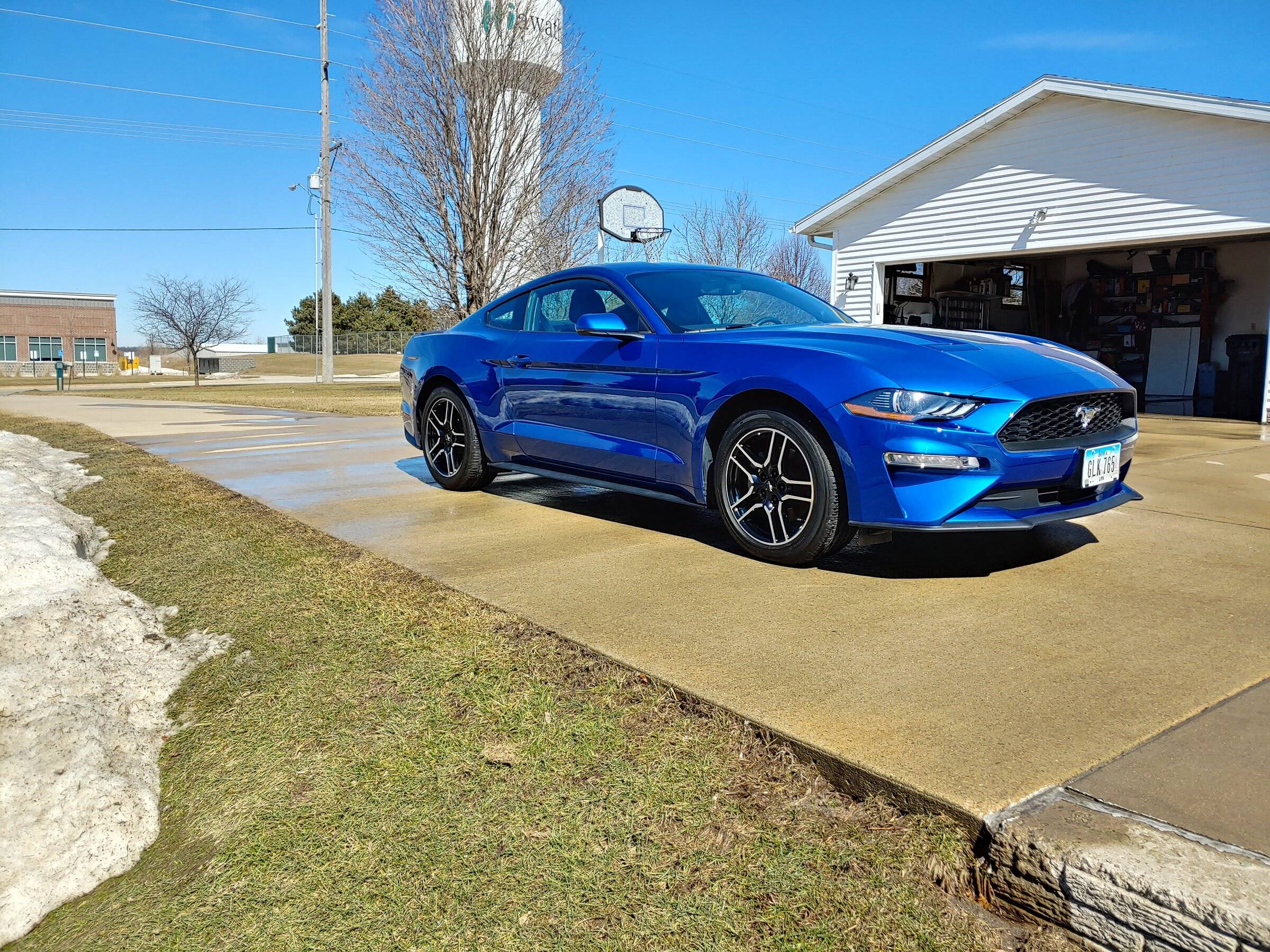 20190316_141136_HDR.jpg