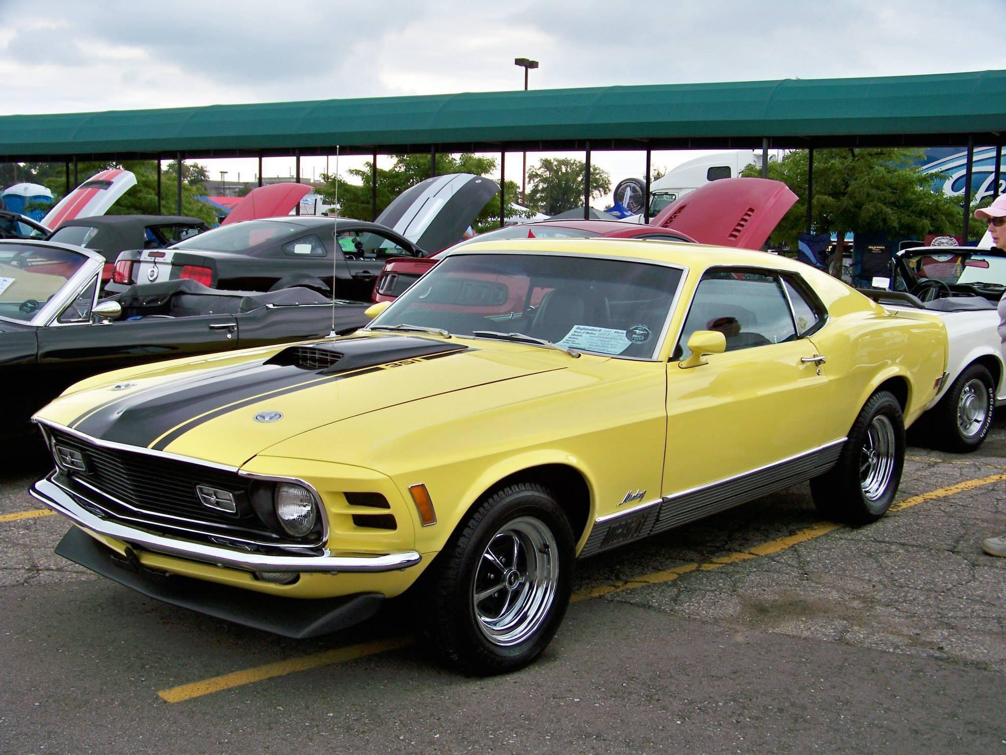 273198990_484334453069783_1354402428507131210_n.jpg
