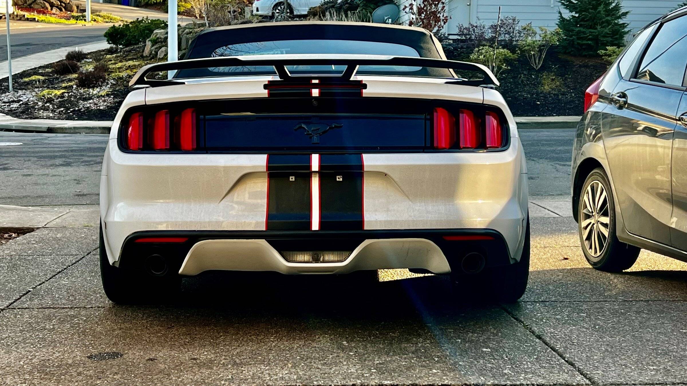 mustang 6.jpg