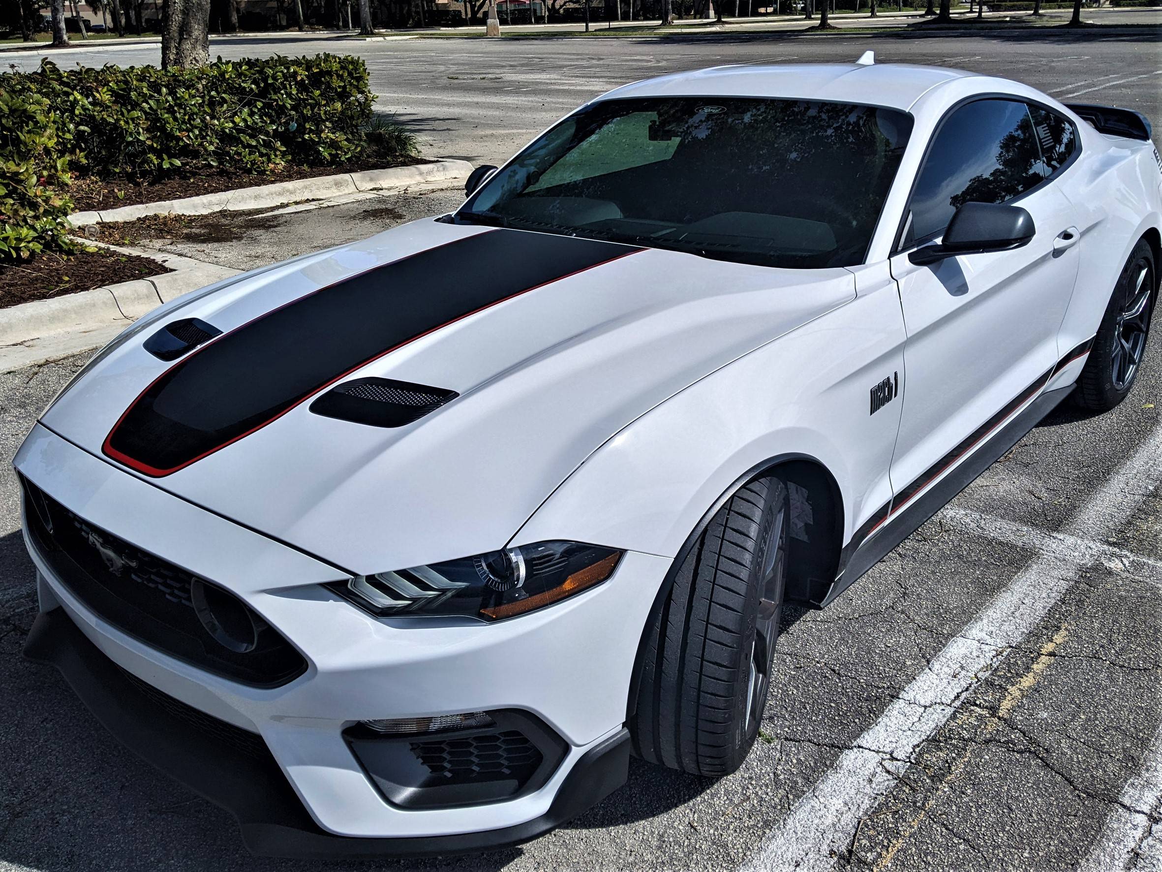 car1.jpg