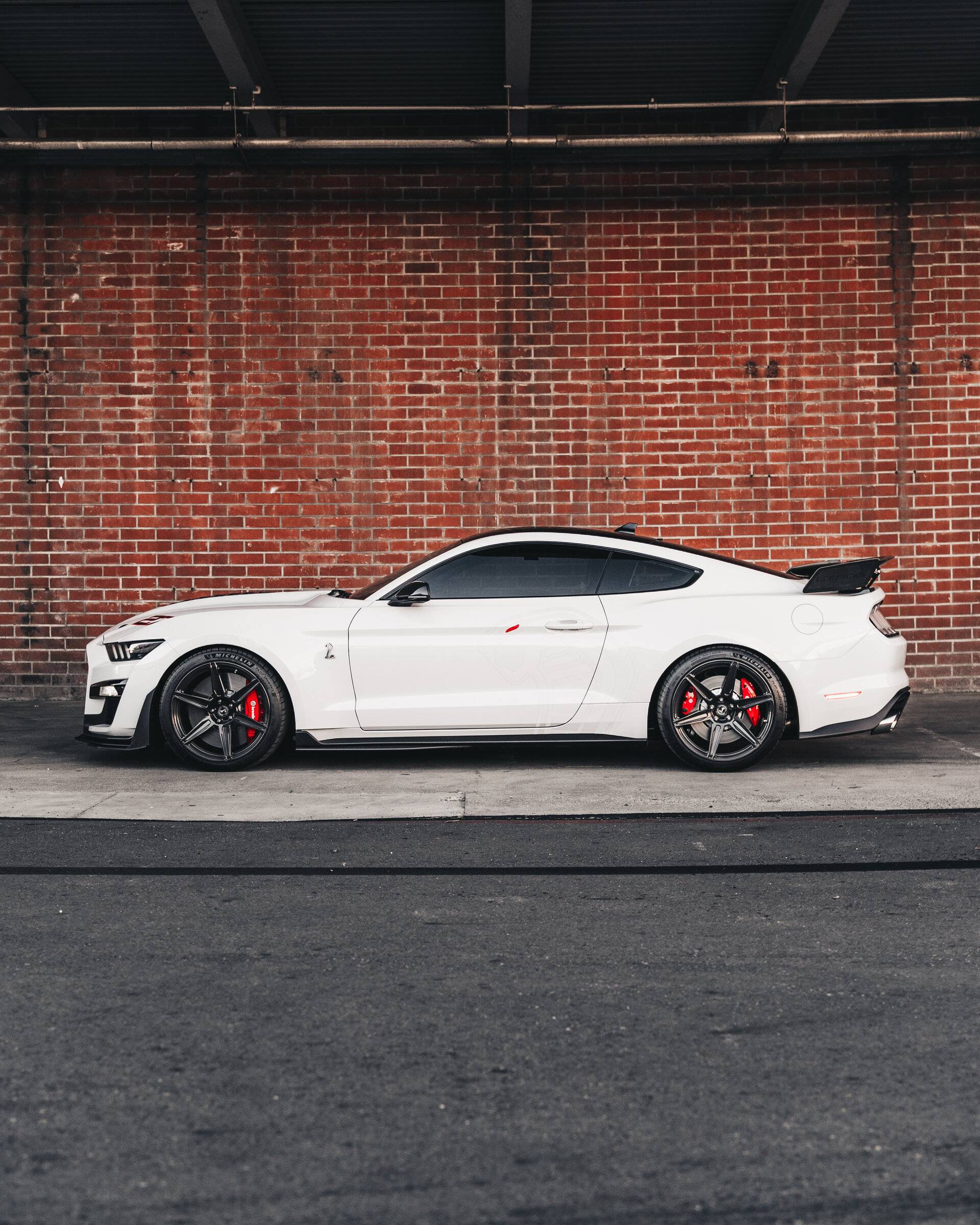 SV703 GT500 CFTP Brushed Triple Black3.jpg