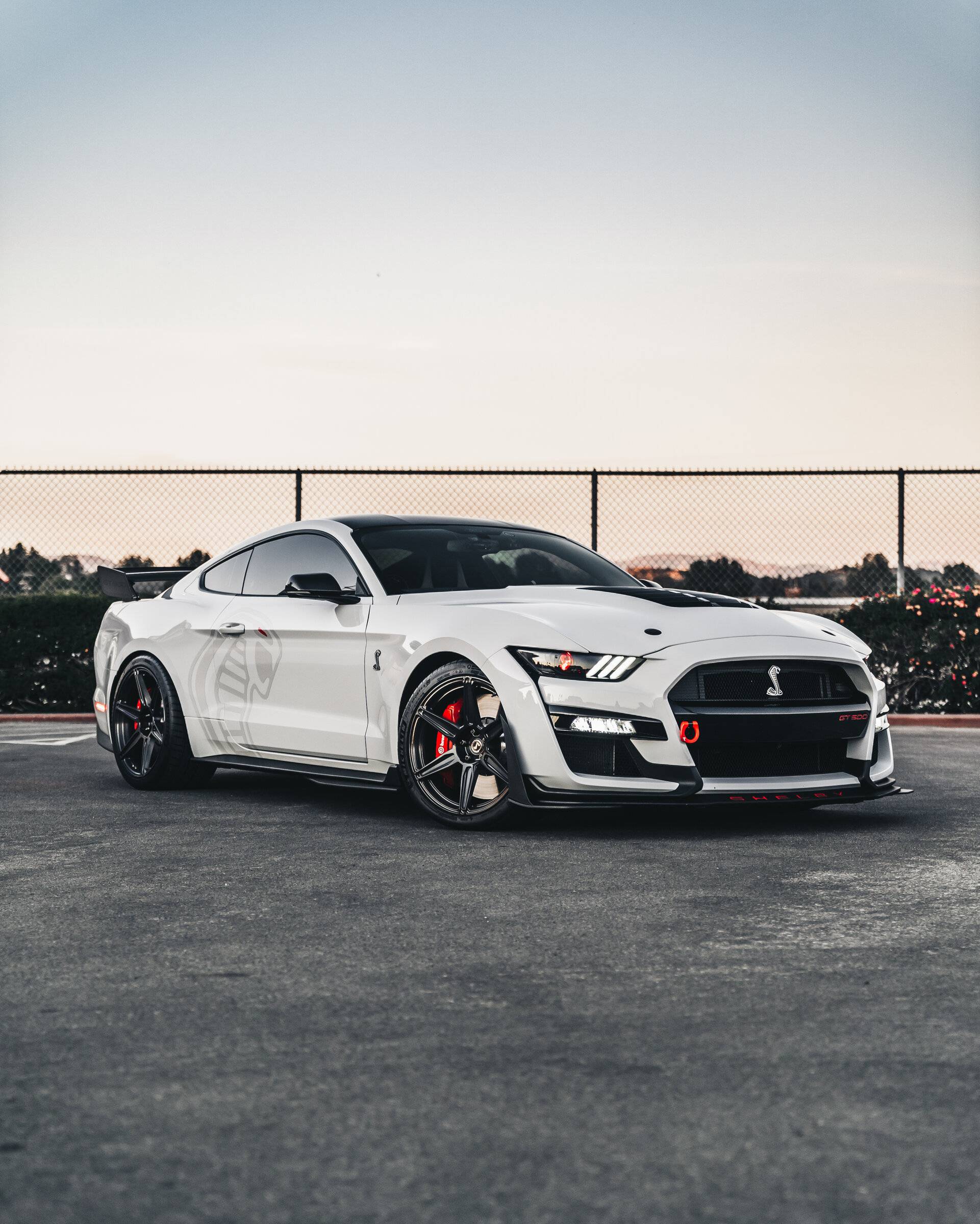 SV703 GT500 CFTP Brushed Triple Black14.jpg
