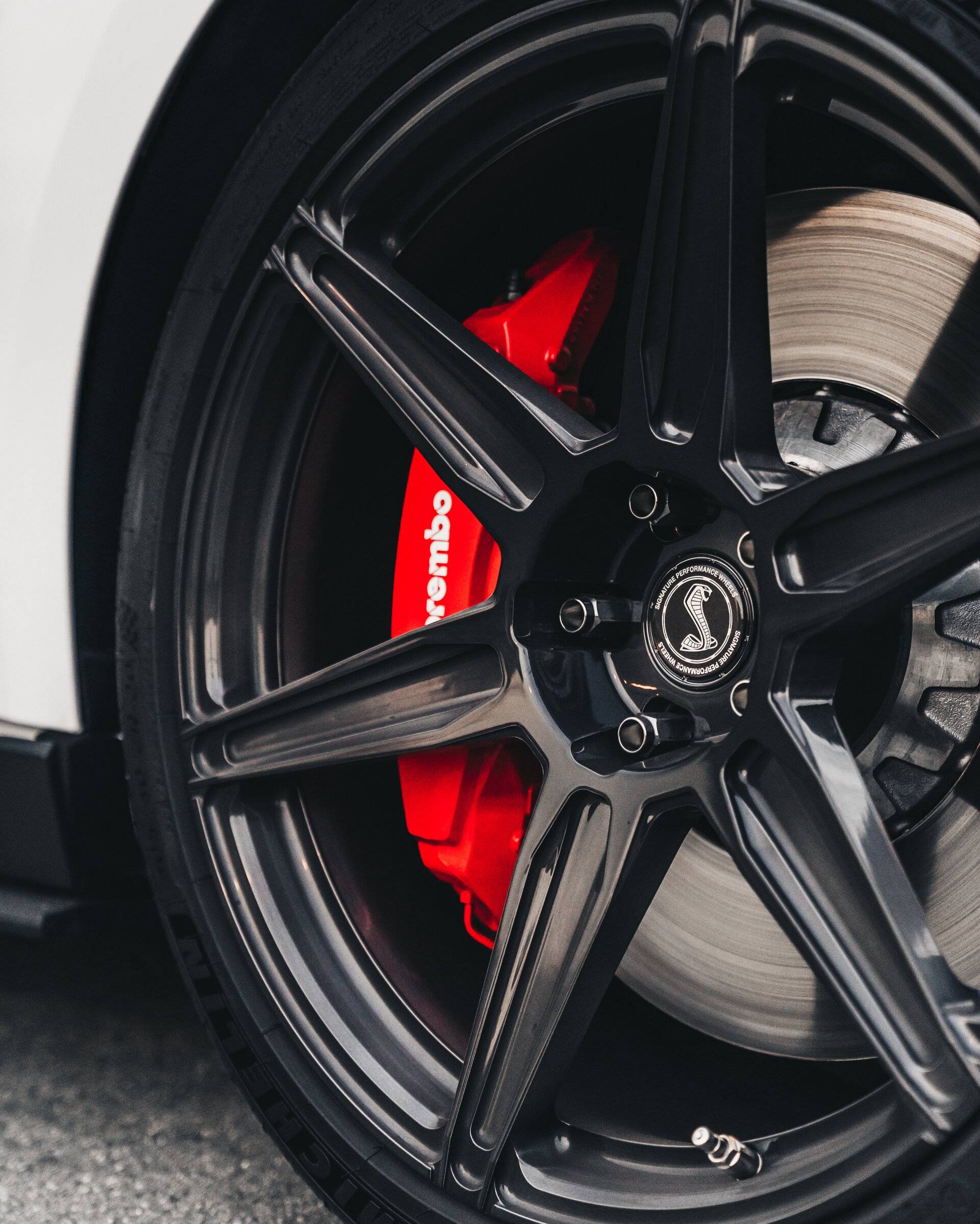 SV703 GT500 CFTP Brushed Triple Black19.jpg