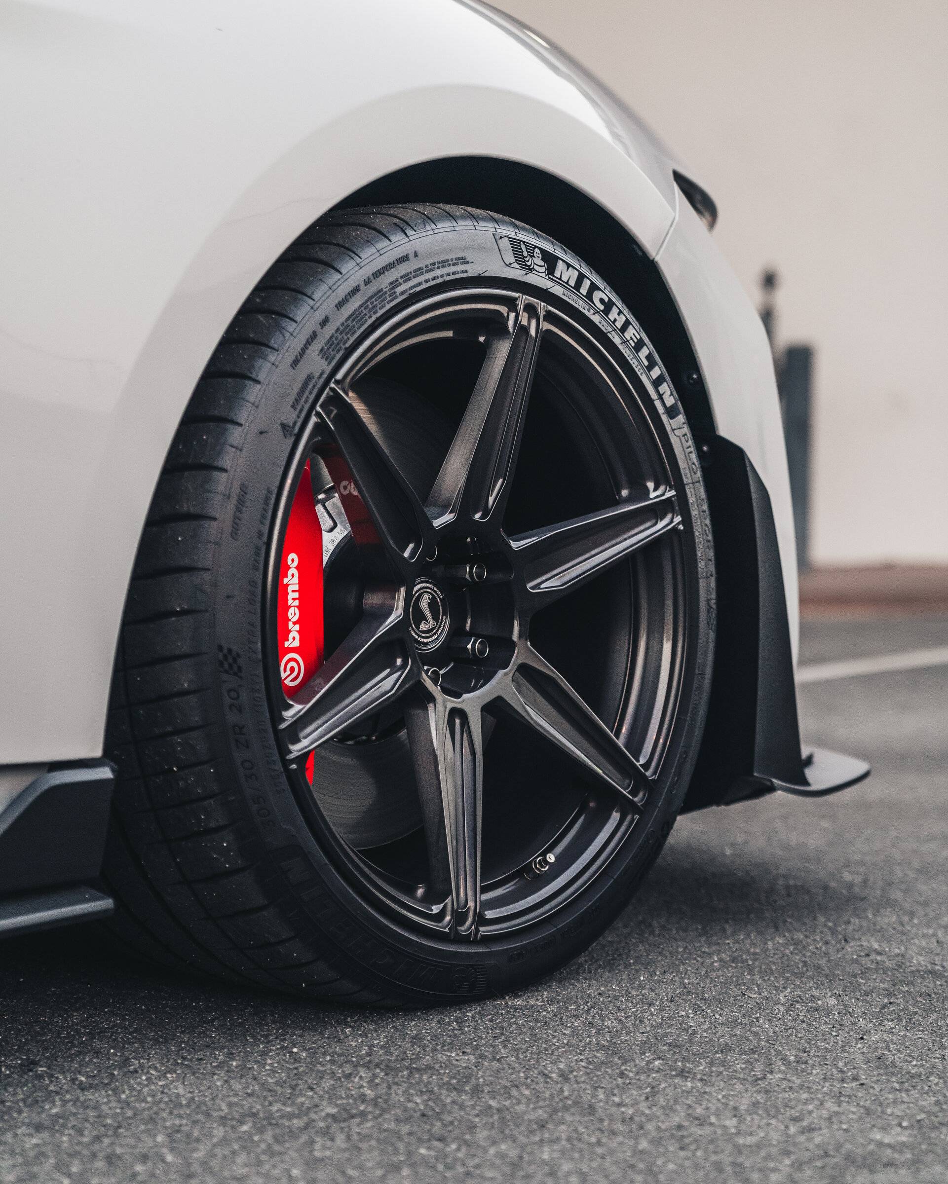 SV703 GT500 CFTP Brushed Triple Black20.jpg