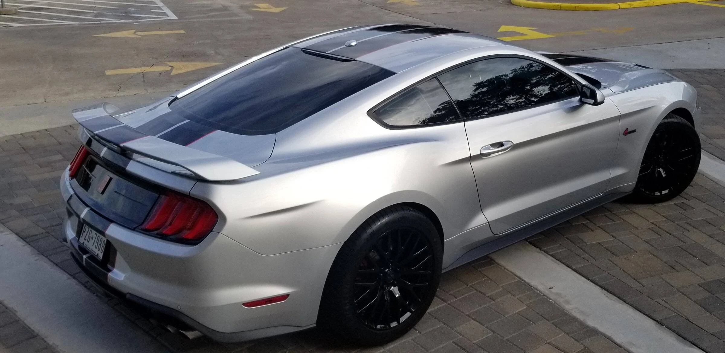 stang 15b.jpg