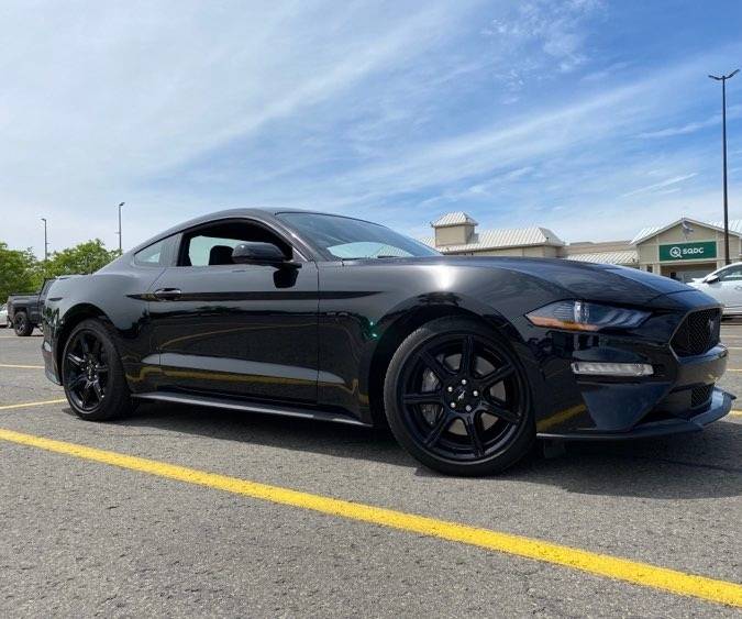 Mustang.jpg