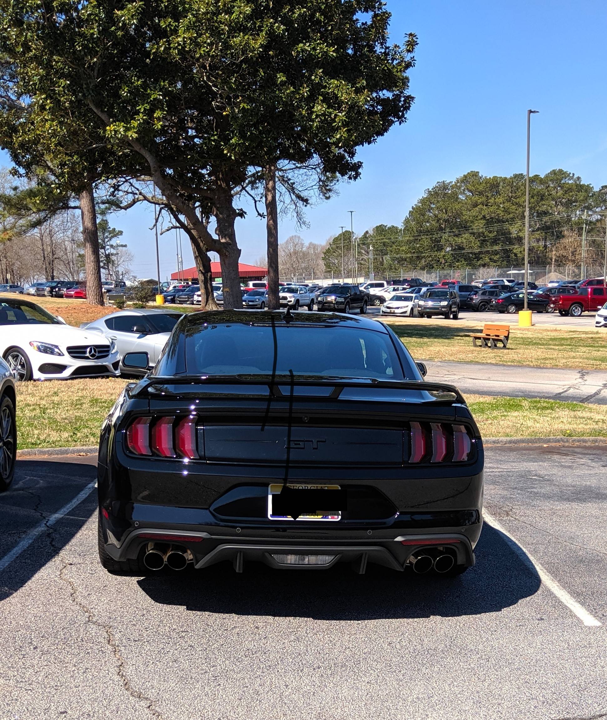 IMG_20220304_120954.jpg