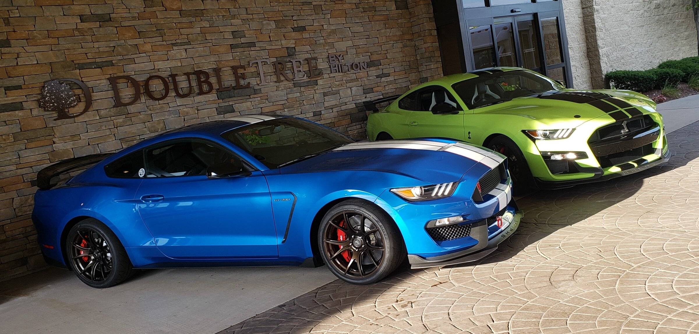 GT350500 (2).jpg