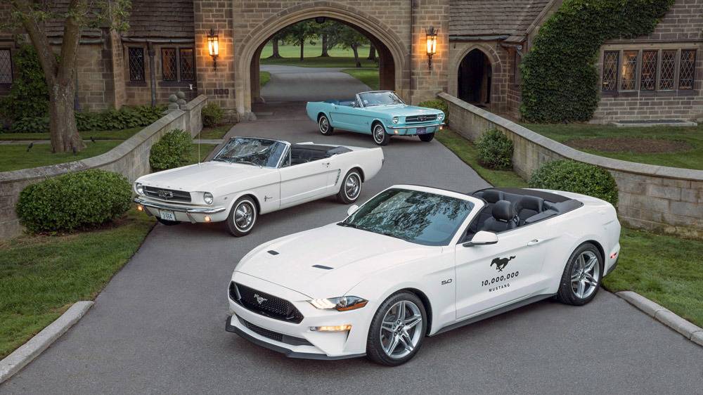 Ford Mustangs.jpg
