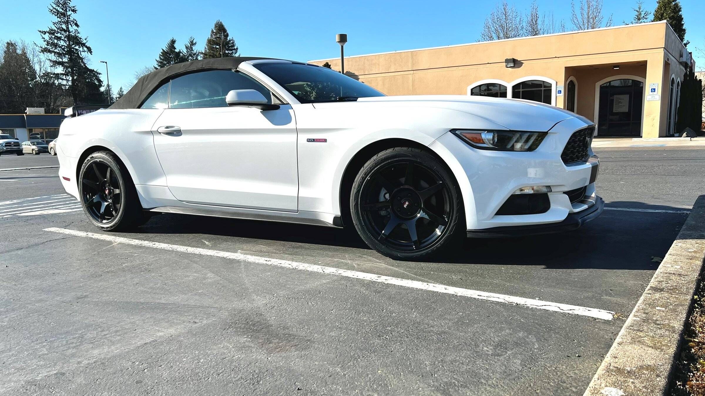 mustang march 3.jpg
