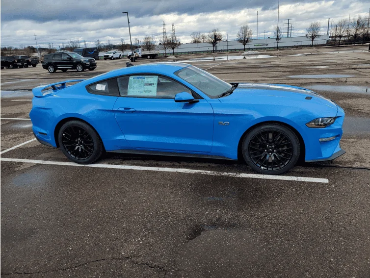Mustang 2.webp