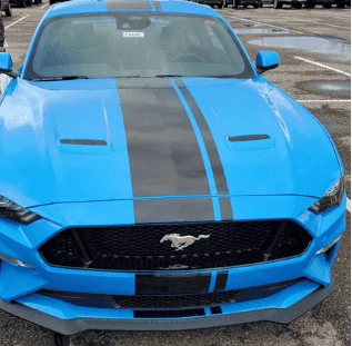 Mustang.webp