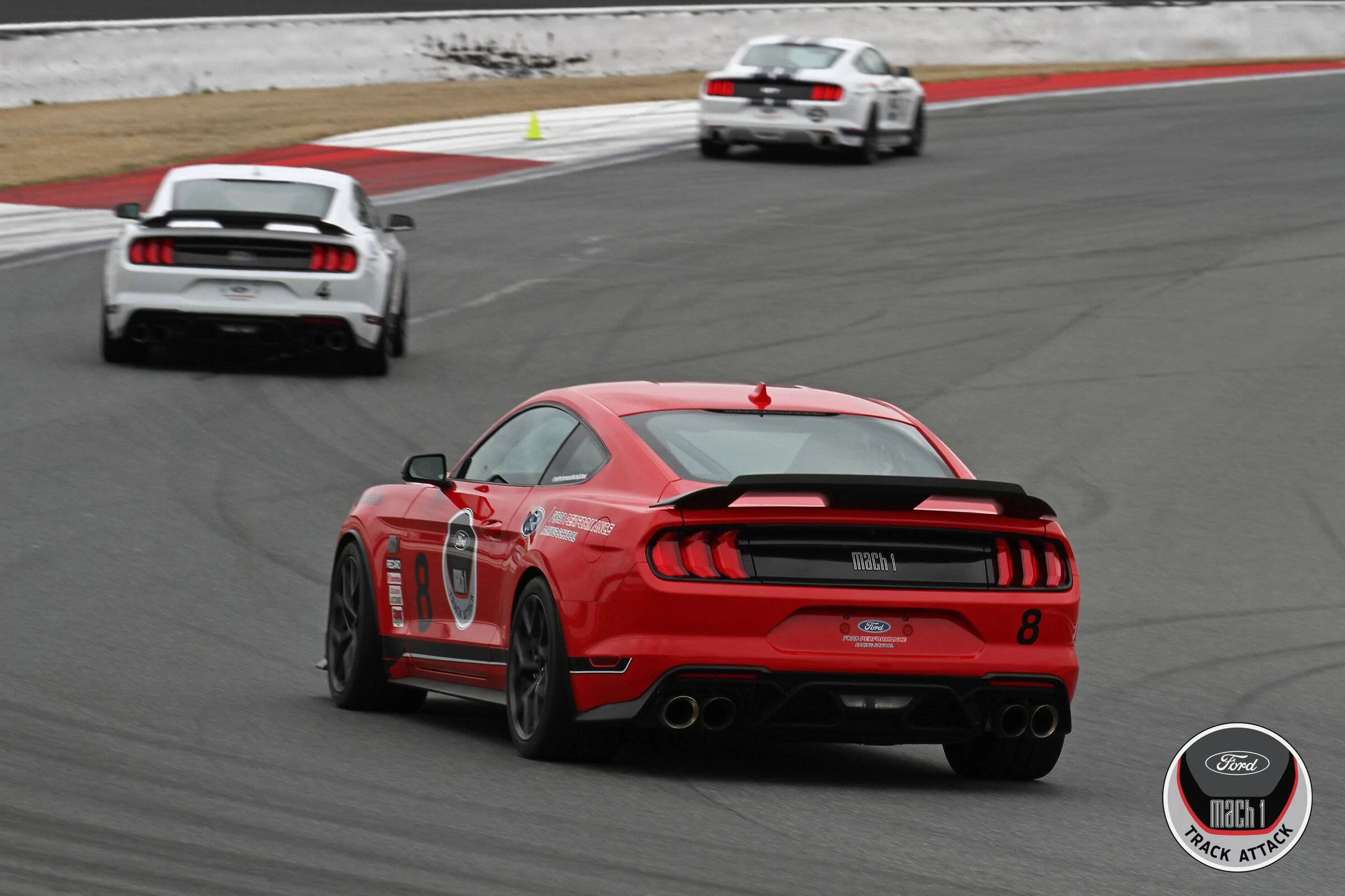 IMG_9784 - Copy.jpg
