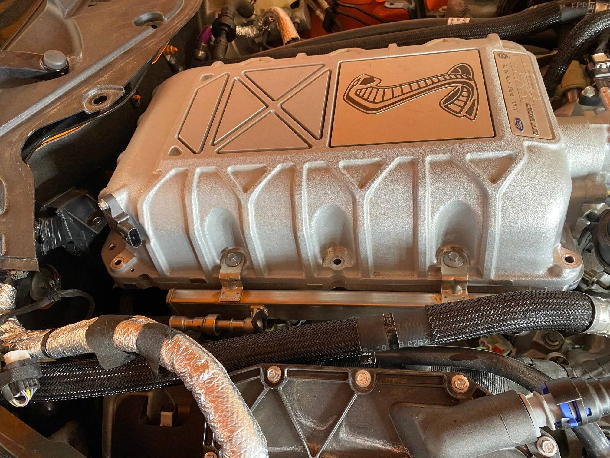 oem-lid2.jpg