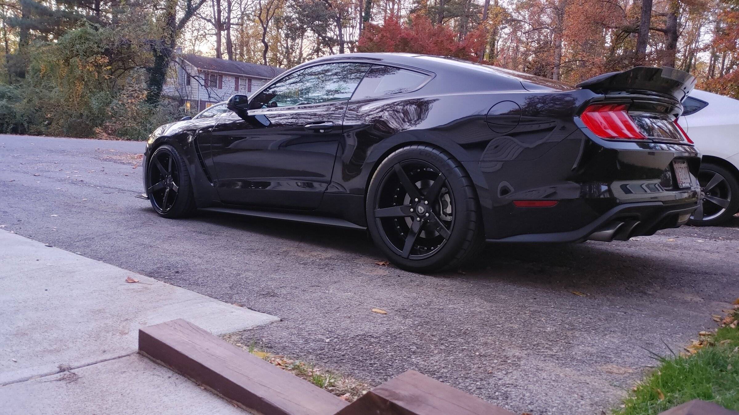 stance Pic.jpg