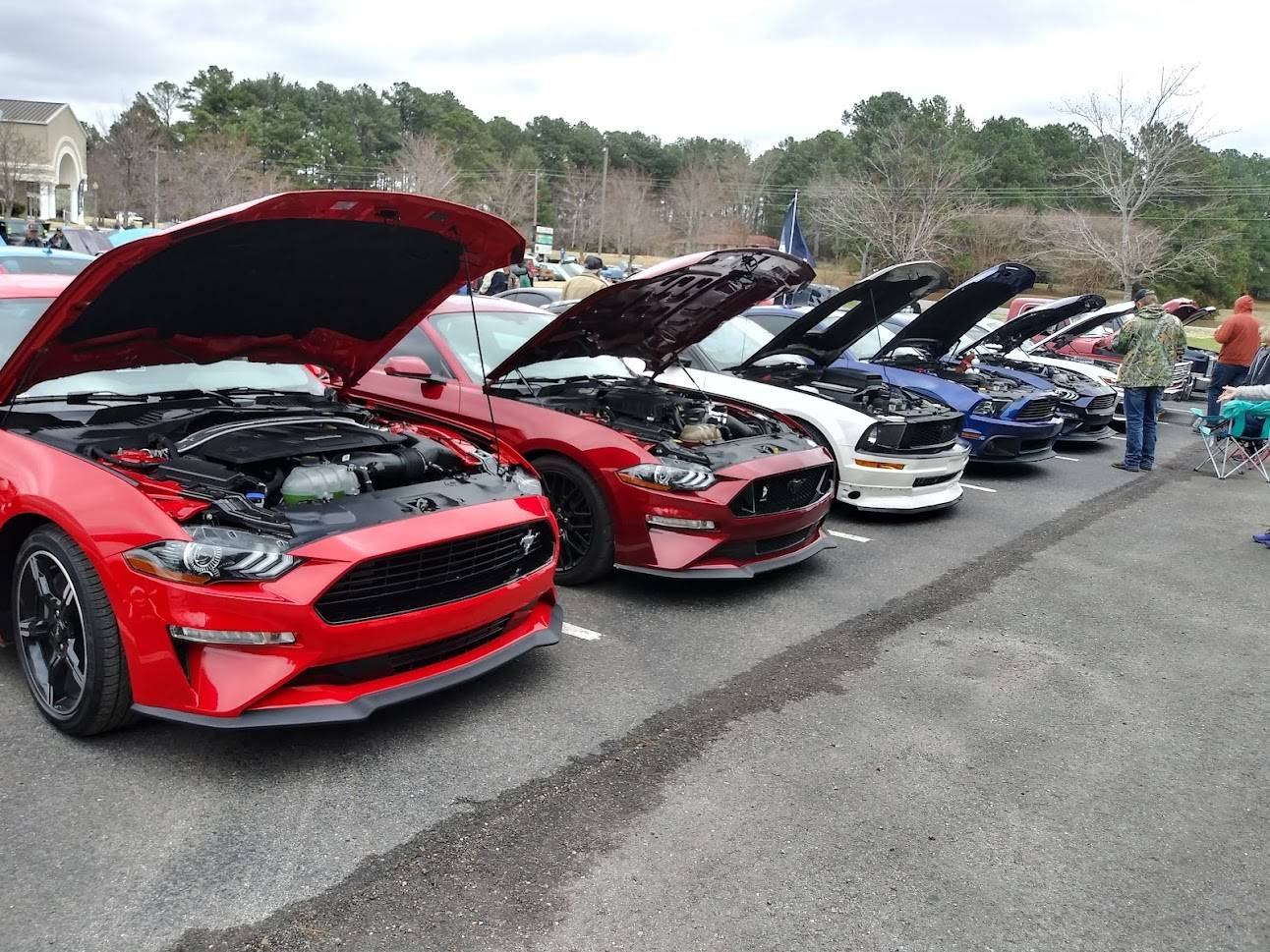 20220319_111131_HDR  mustangs 1.jpg
