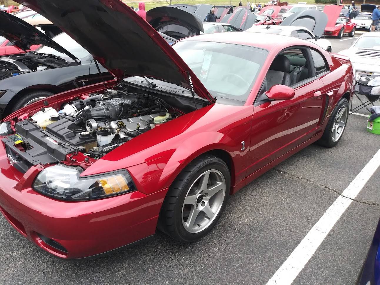 20220319_090831  Red Cobra.jpg