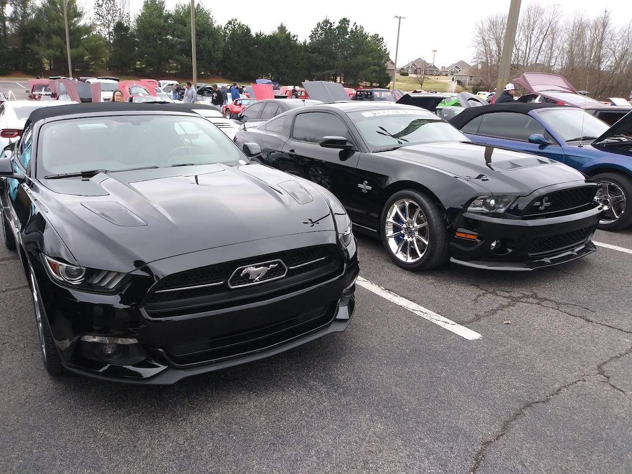 20220319_090540  blk stangs.jpg