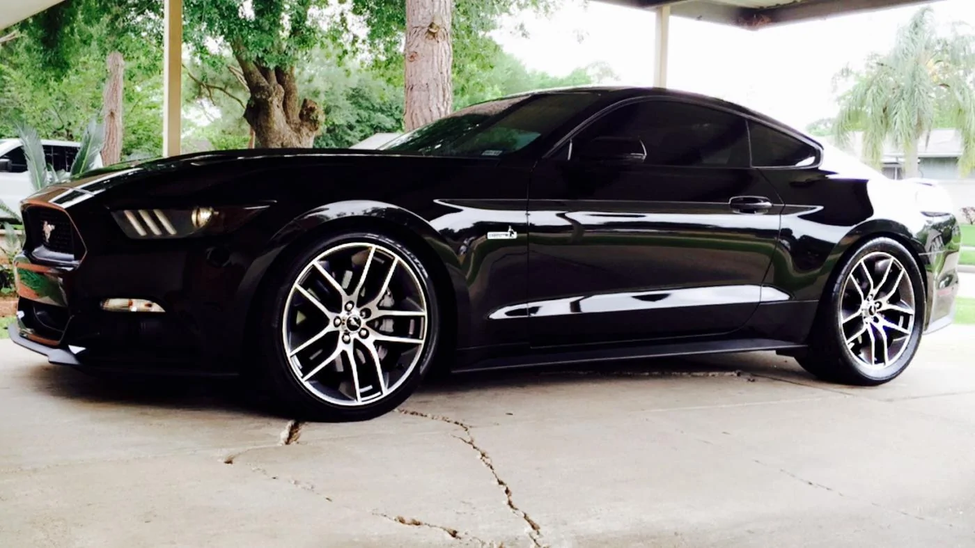 mustang.webp