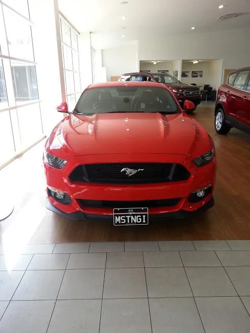 Mustang sr.webp