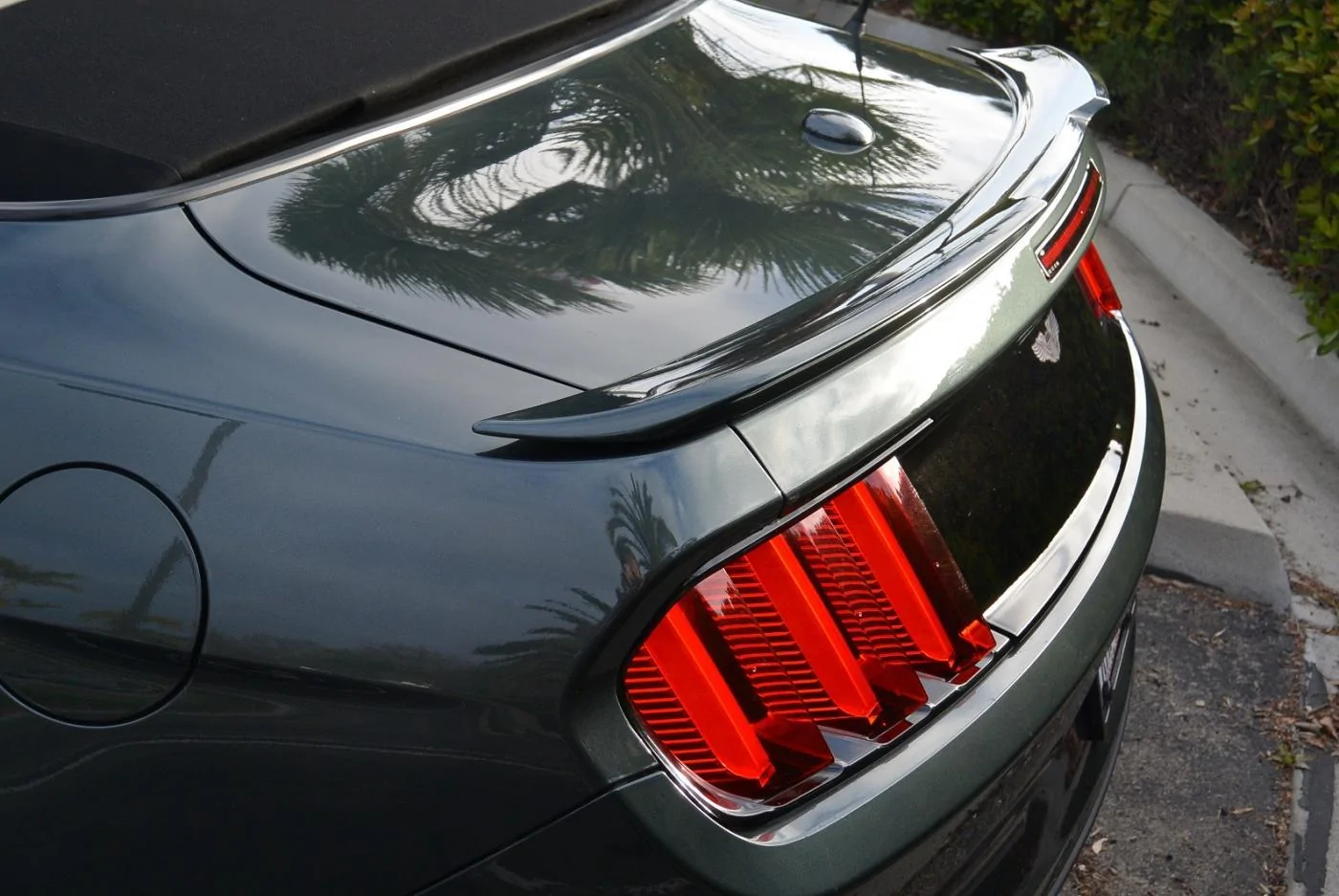 DSC_2762.webp