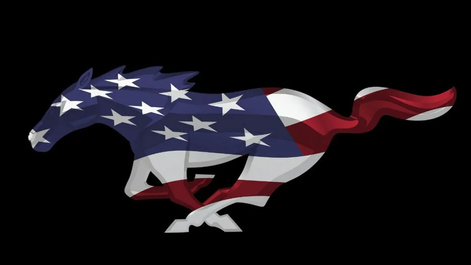 pony flag.webp