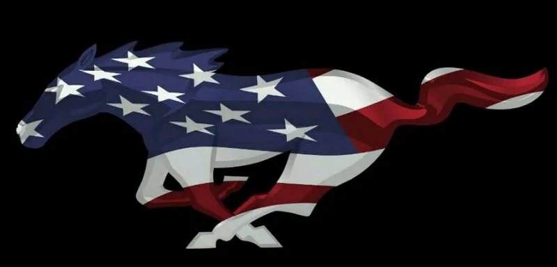 pony flag_crop_800x384.webp