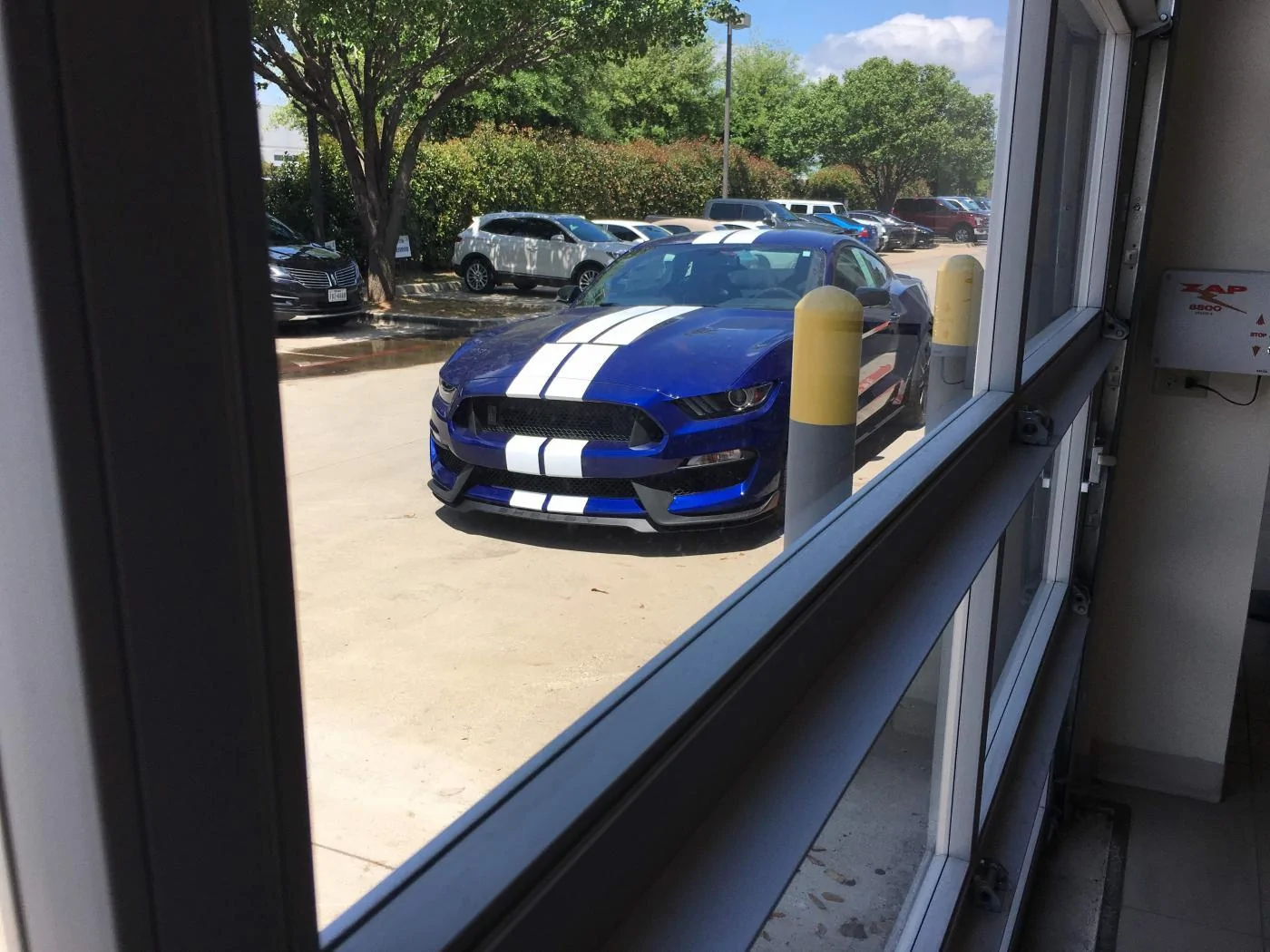 GT350 Arrival.webp
