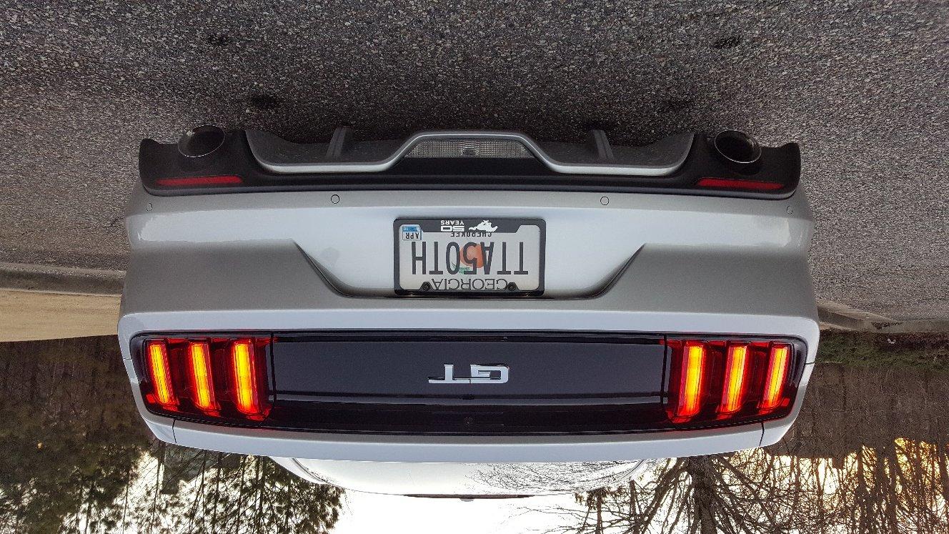 rear.jpg
