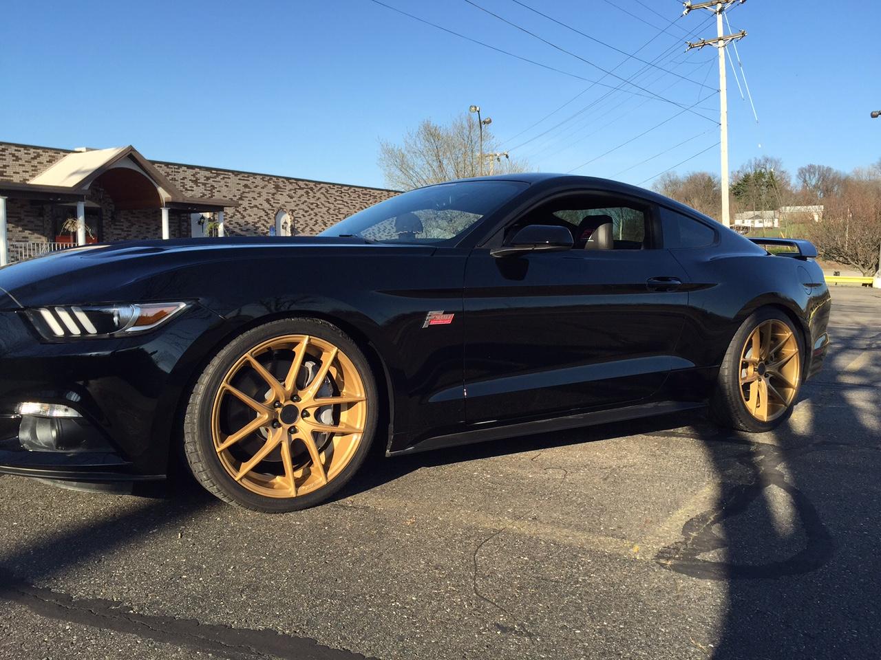 stang4.JPG