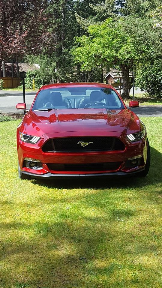 2016 gt.jpg