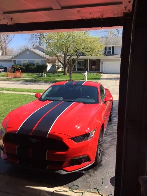 stripes front.webp