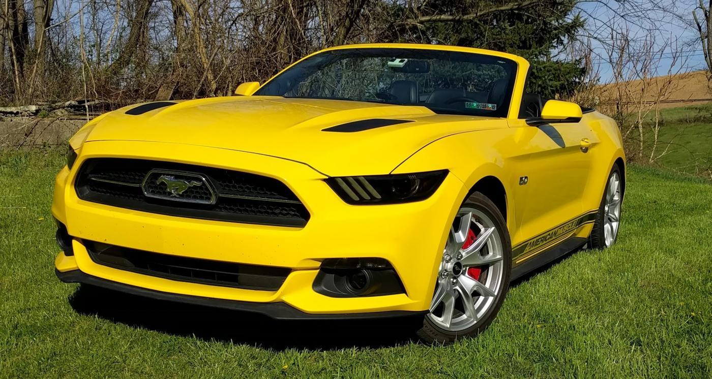 mustang 1.jpg