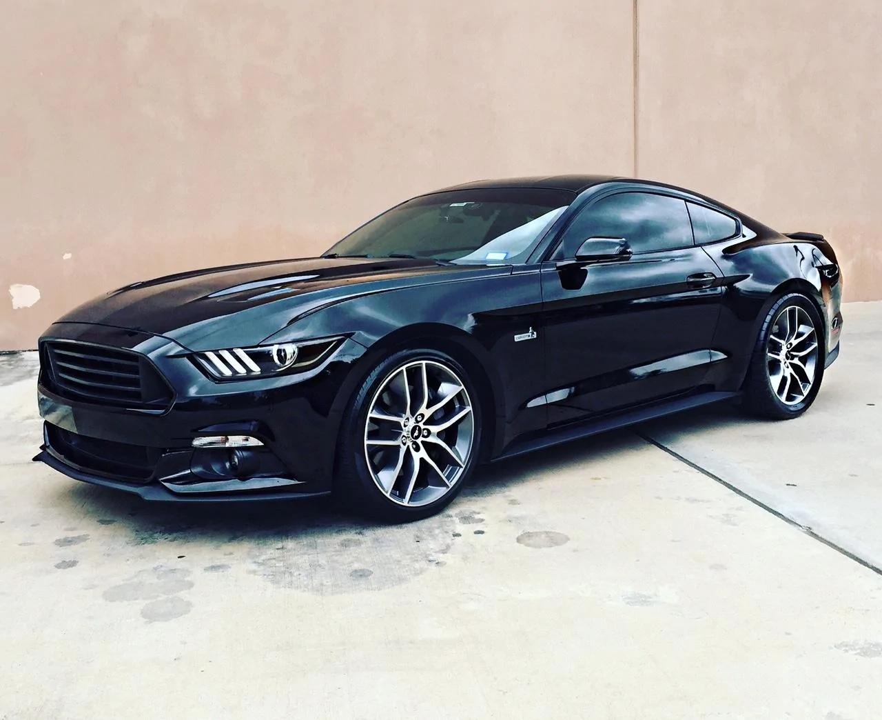 mustang2.webp