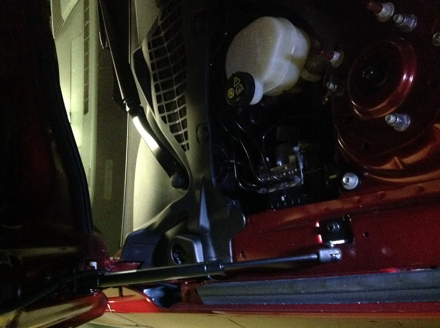 image.webp