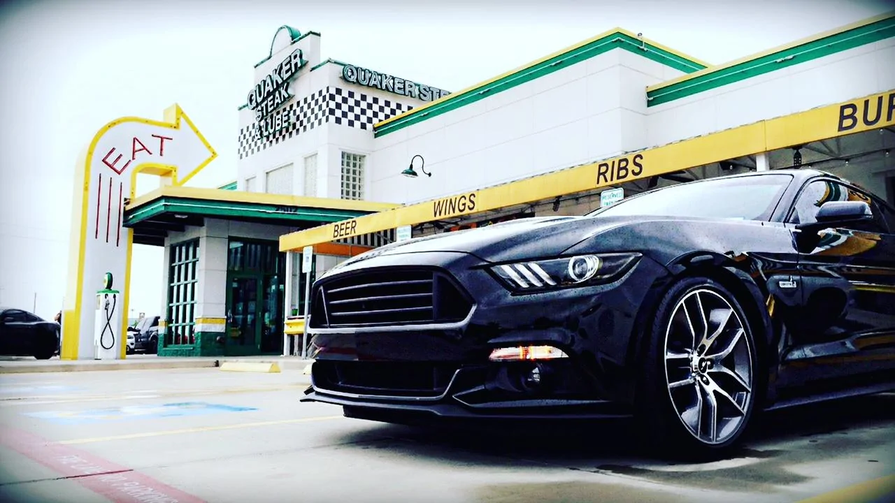 mustang5.webp