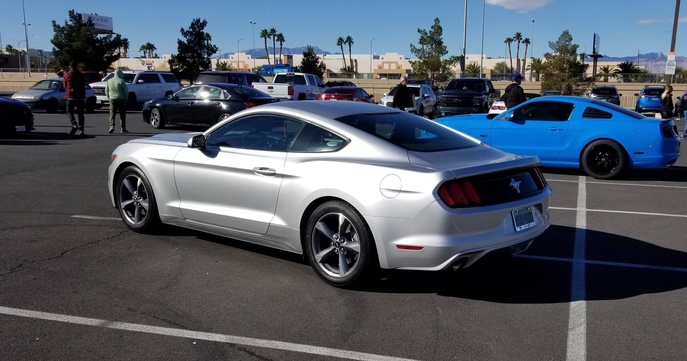 Mustang at Shelby 2 22.jpg
