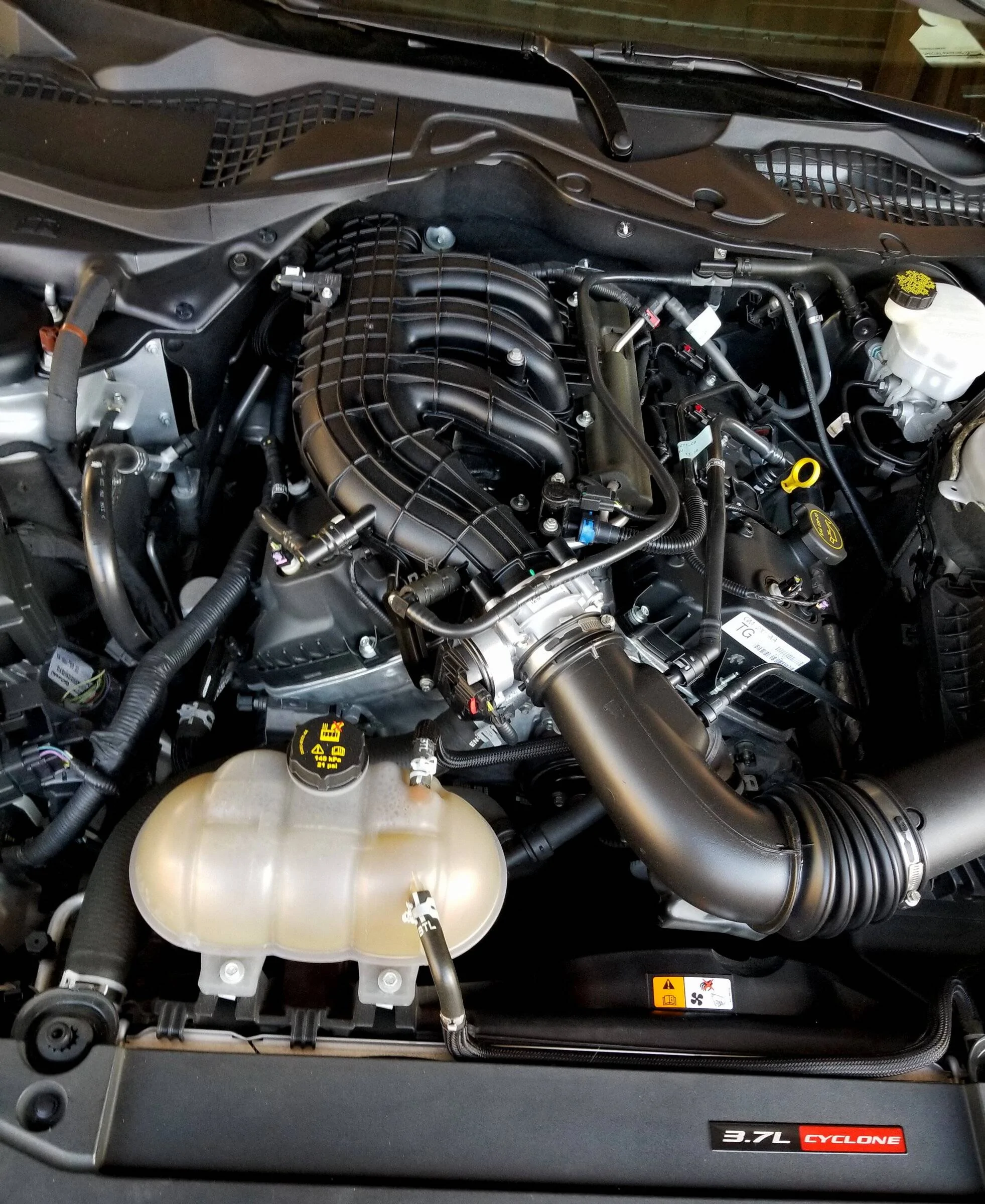 mustang engine 2a.webp