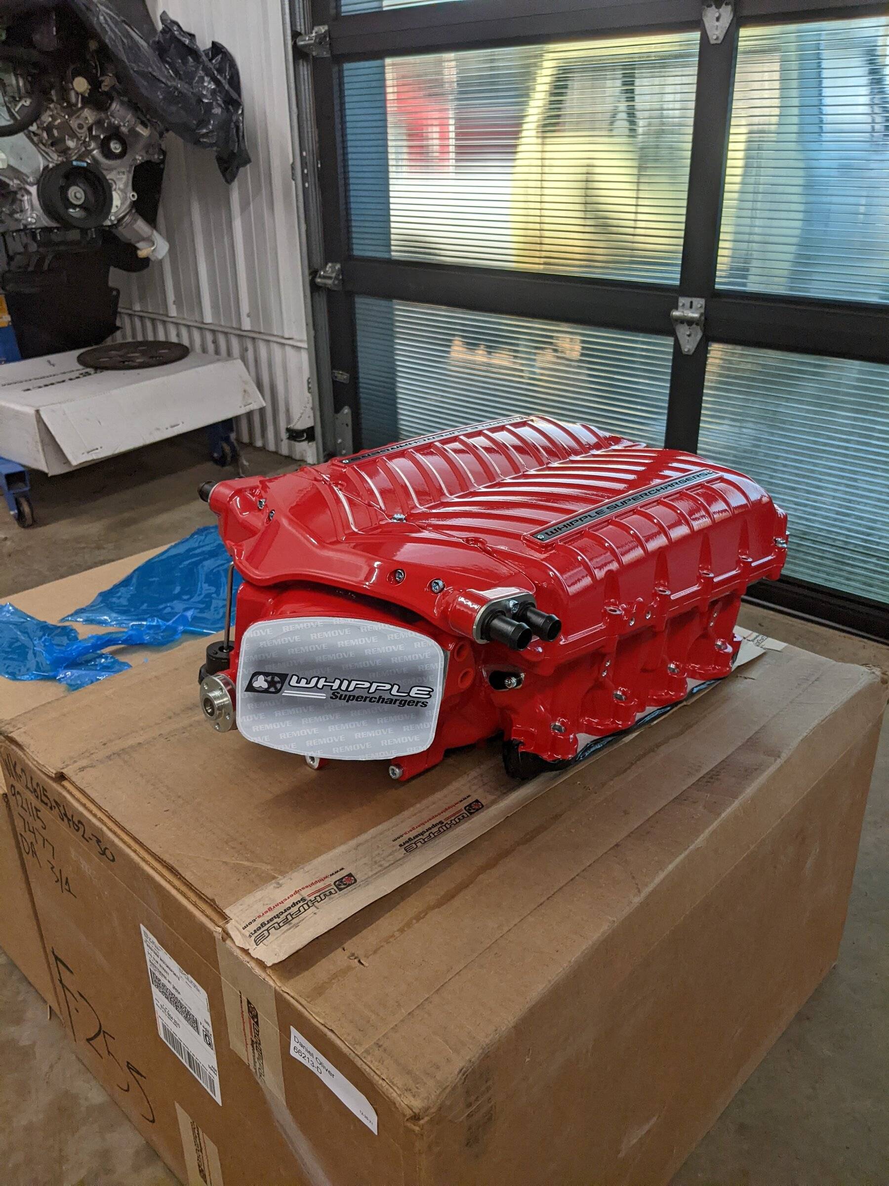 Whipple 3.0.jpg