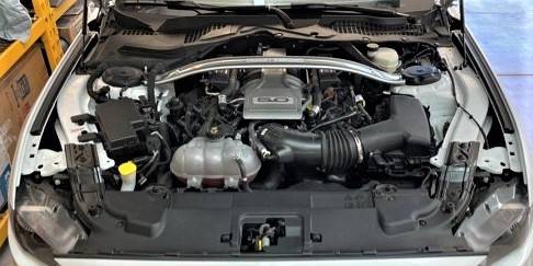 Mustangunderhood.jpg
