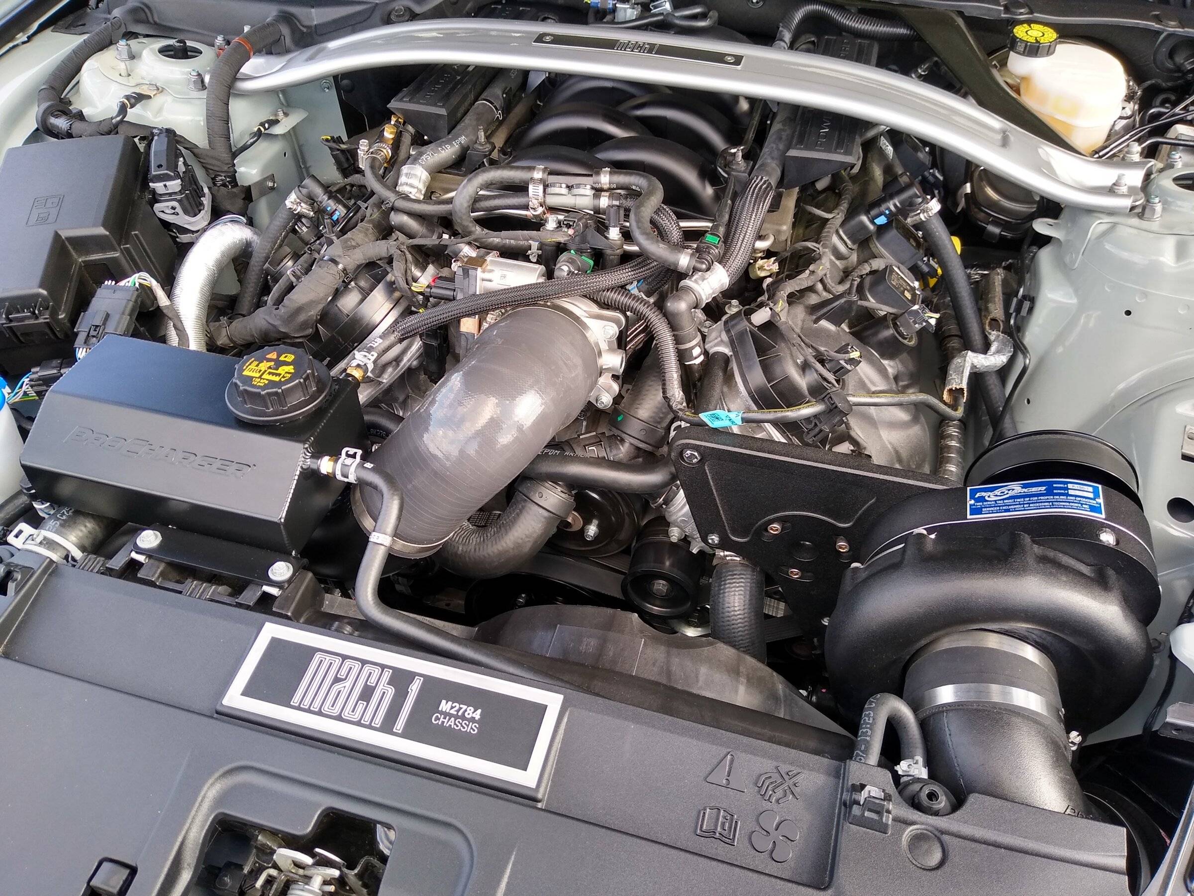 IMG_20220326_103057549_HDR.jpg
