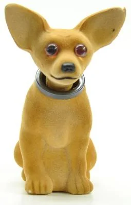 doggieo.com.webp