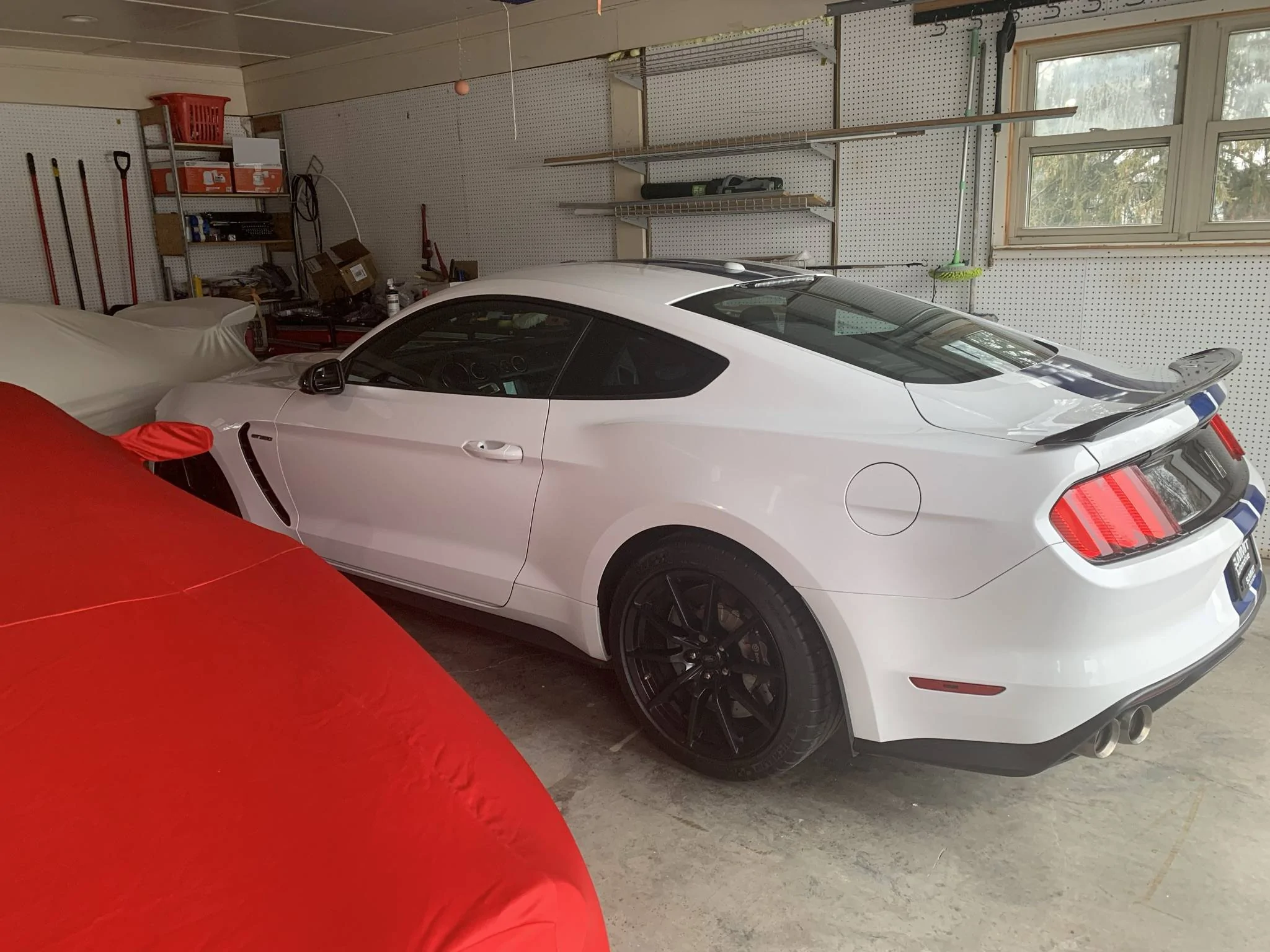 BF377B73-C4F0-4C0C-A969-BB128236DFDE.webp