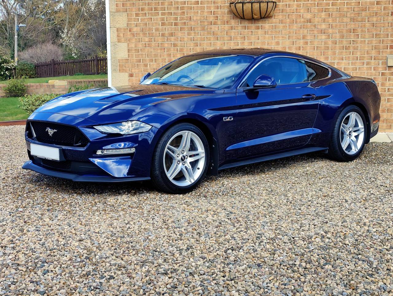 Mustang-Clean1.jpg